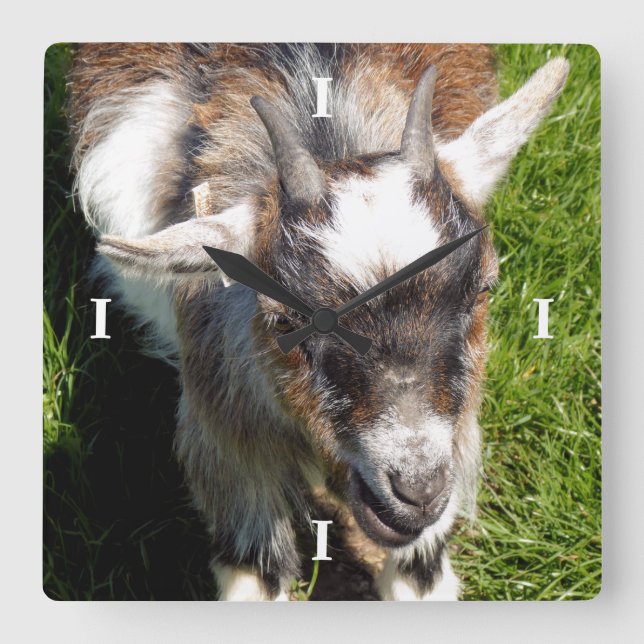 CUTE GOAT QUADRATISCHE WANDUHR (Vorderseite)