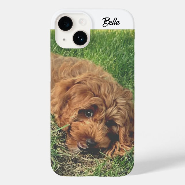 Cute Golden Doodle Case-Mate iPhone 14 Hülle (Rückseite)