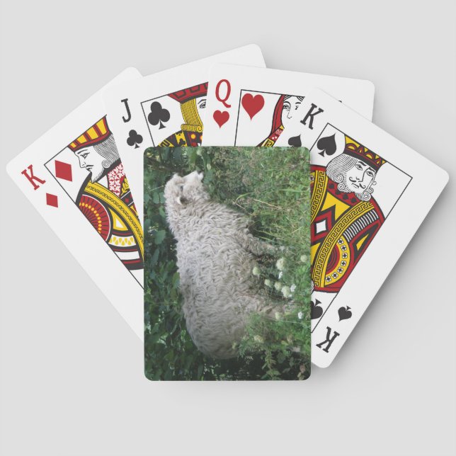 Cute Greedy Sheep Eating Play Cards Spielkarten (Rückseite)