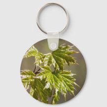 Cute green maple branch with small leaves keychain
