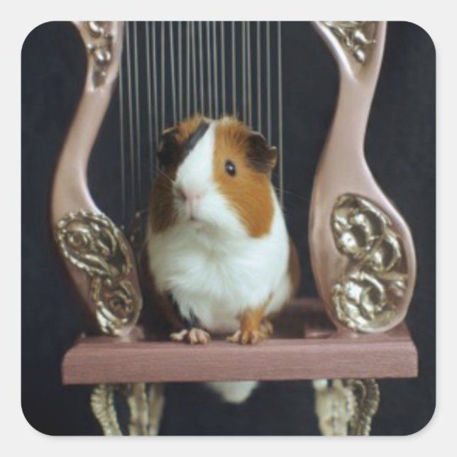 Cute Guinea Pig Harp Sticker (Devant)