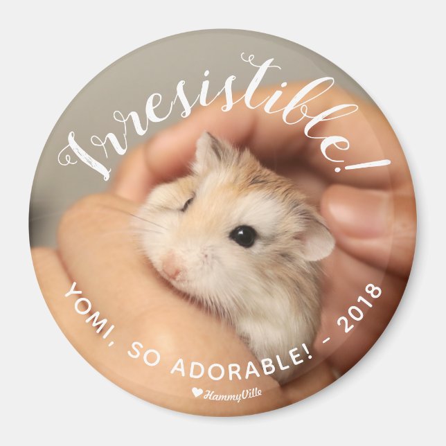 Cute Hamster Irresistible Magnet (Vorne)