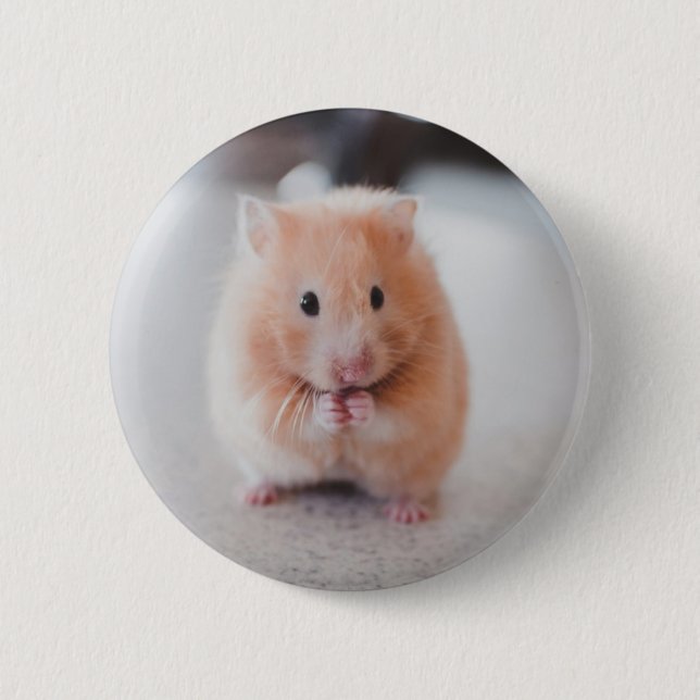 Cute Hamster Love Animals Button (Vorderseite)