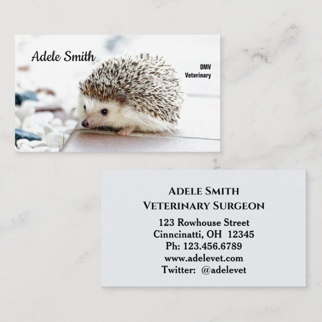 Cute Hedgehog Vétérinaire Carte de visite standard (Devant / Derrière)