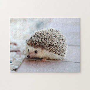 Cute Hérisson, Jigsaw Puzzle