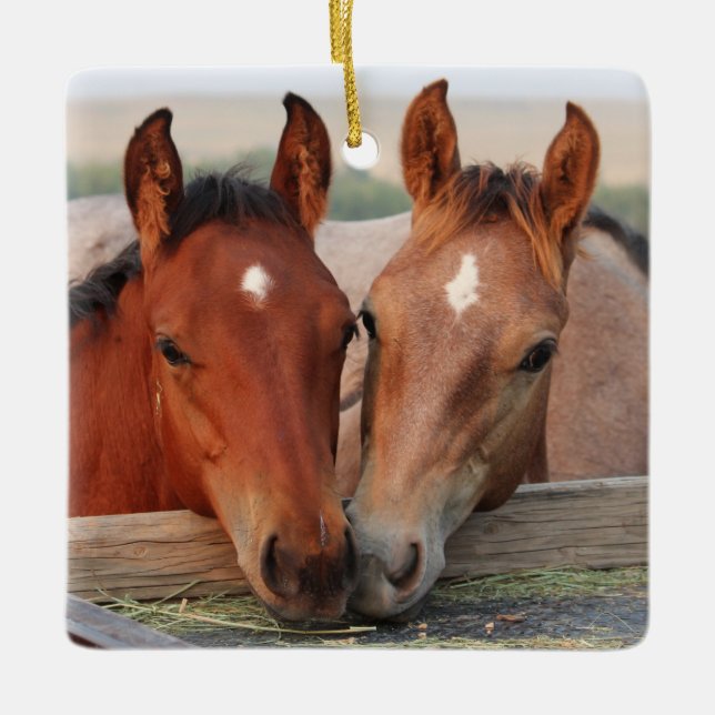 Cute Horse Foal Friends Keramikornament (Vorderseite)