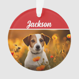 Cute Jack Russell Chien Fête de Noël Photo