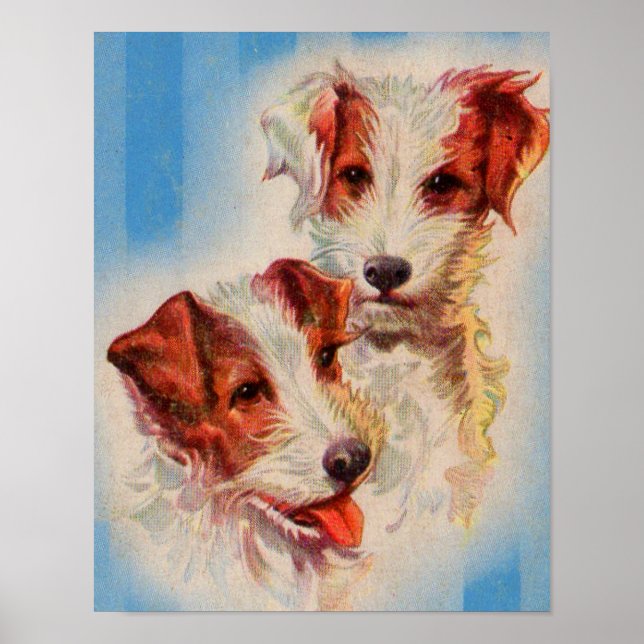 CUTE Jack Russell terriers Poster (Vorne)