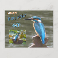 Cute Kingfish Cust. Carte postale Joyeuse Annivers