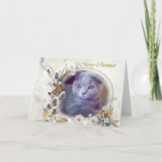 Cute kitten Joyeuse carte de Noël