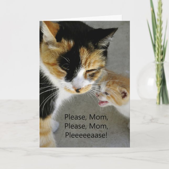 Cute Kitten Maman Bonne carte d'anniversaire (Devant)