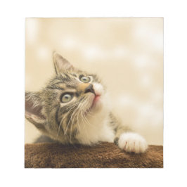 Cute Kitten with an Outstretched Paw Notizblock
