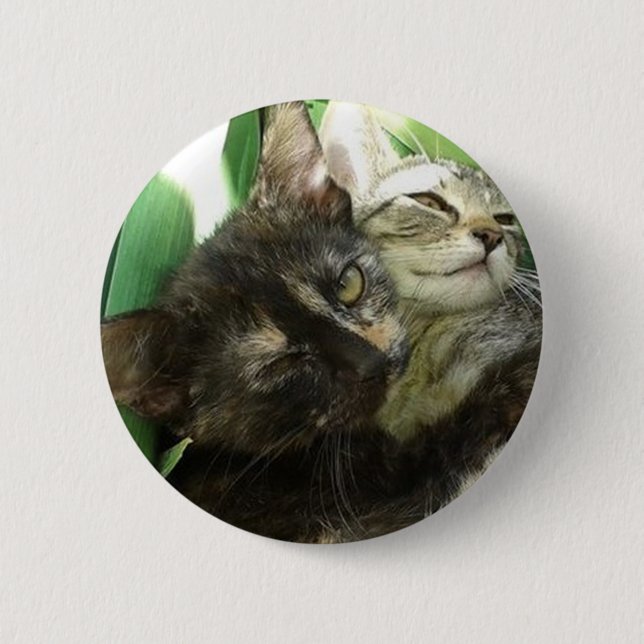 Cute kittens cuddling button (Vorderseite)