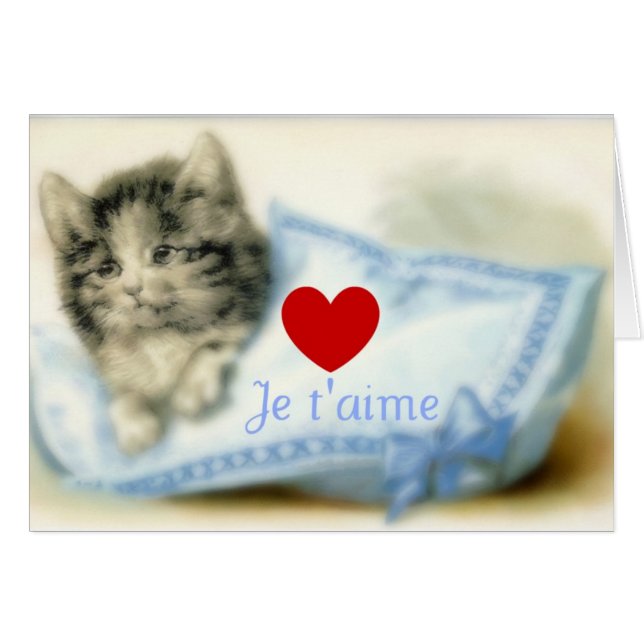 Cute kitty avec coussin et amour (Devant Horizontal)