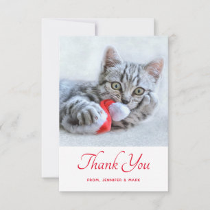 Cute Kitty Chat Biting a Red Santa Hat Merci