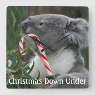Cute Koala Eating Candy Cane Quadratische Wanduhr