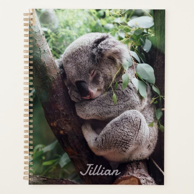 Cute Koala Ours Amoureux des animaux annuel (Devant)