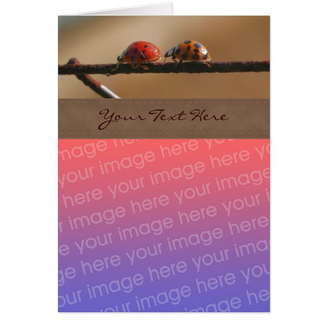 Cute Ladybug Pair Nature Votre Carte photo (Devant)