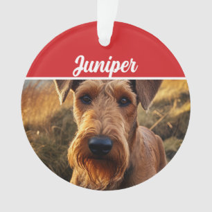 Cute Lakeland Terrier Chien de Noël