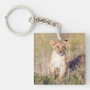 Cute lionceau en Afrique photo