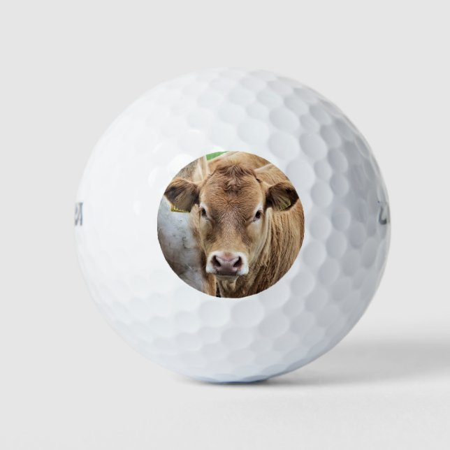 CUTE LITTLE COW GOLFBALL (Vorderseite)