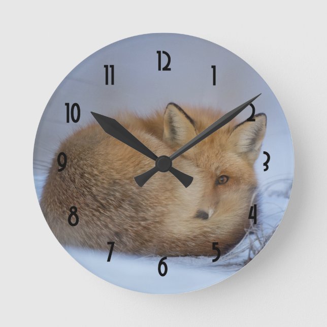 Cute Little Fox Curled Up Winter Photo Runde Wanduhr (Vorderseite)