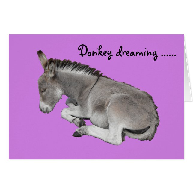 Cute Little Grey Donkey Baby Foal Dreaming (Vorderseite (Horizontal))