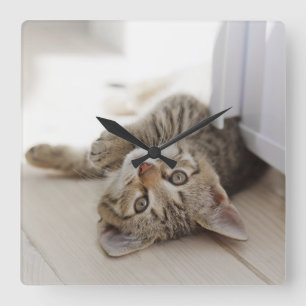 Cute Little Kitten Quadratische Wanduhr