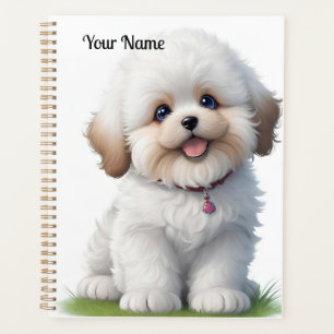 Cute Little Shih Tzu Amoureux des chiens chiot