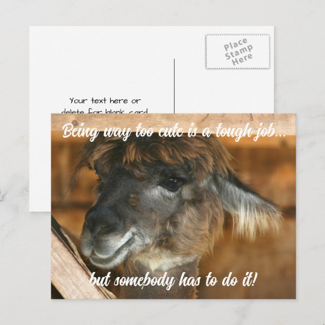 Cute Llama Farm Animal Humorous  Postkarte (Vorne/Hinten)