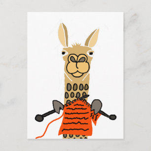 Cute Llama Knitting Cartoon Postkarte