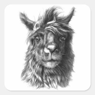 Cute Llama Quadratischer Aufkleber