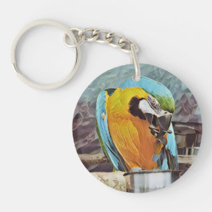 CUTE MACAW