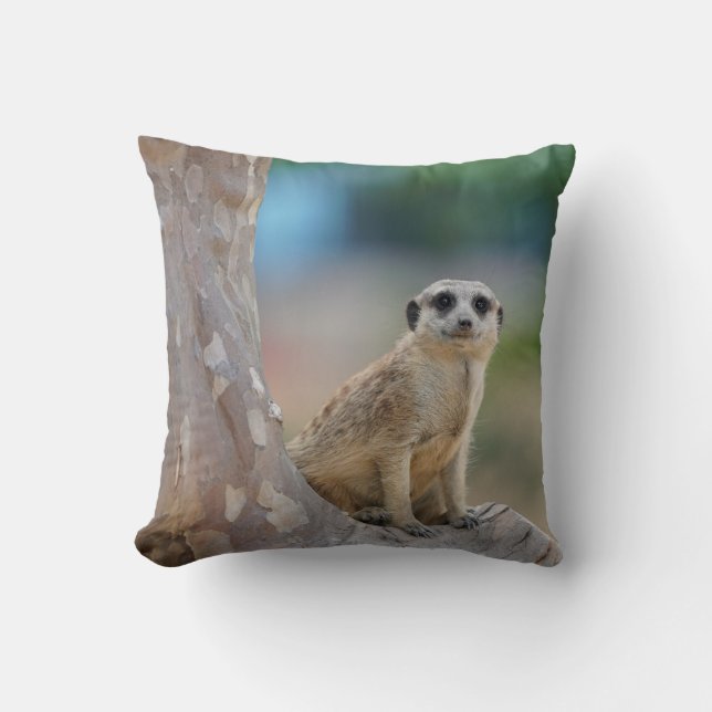 Cute Meerkat Sat on Tree Kissen (Vorderseite)
