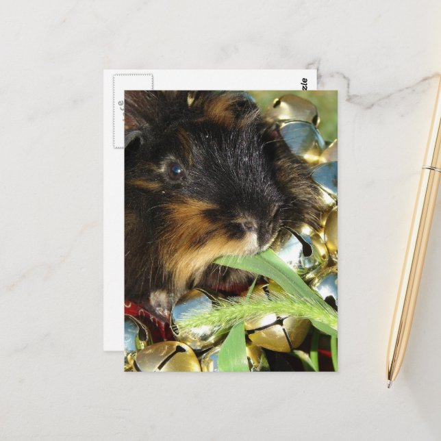 Cute Merry Christmas Guinea Pig Postkarte (Vorderseite/Rückseite Beispiel)