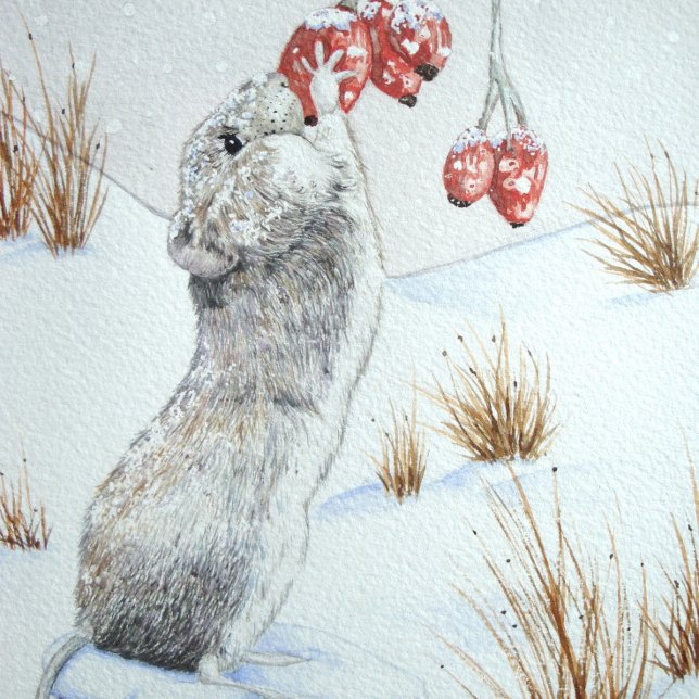 Cute mouse and red berries snow scene wildlife flachmann (Von Creator hochgeladen)