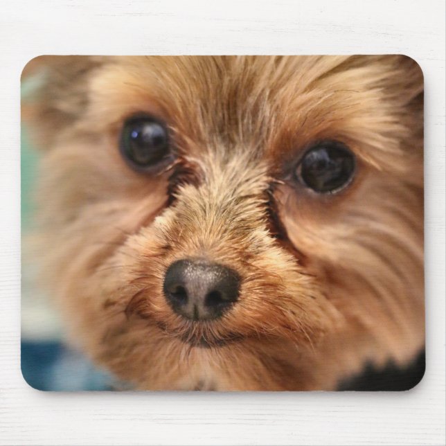 Cute Mousepad (Vorne)