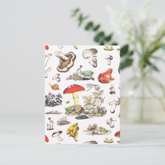 Cute Mushroom Frog Snail Forest Pattern Postkarte (Stehend Vorderseite)