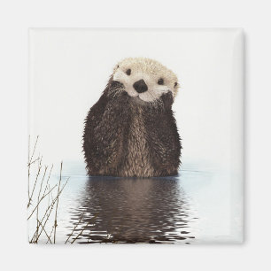 Cute Otter Wildlife Image Magnet