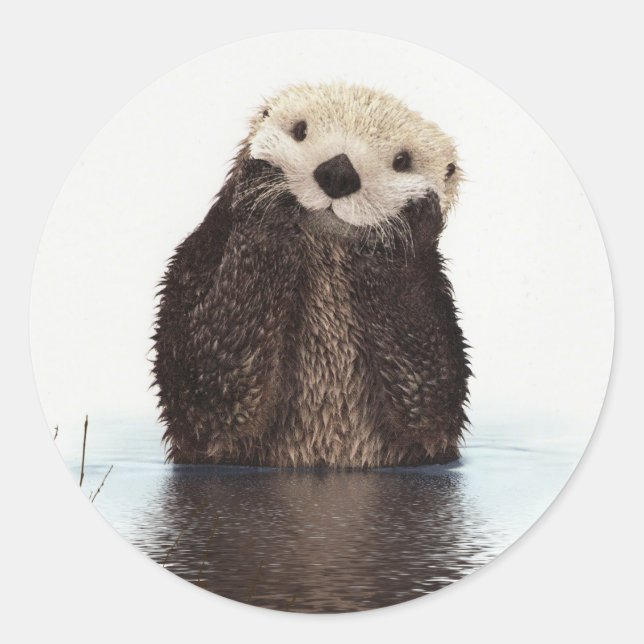 Cute Otter Wildlife Image Runder Aufkleber (Vorderseite)