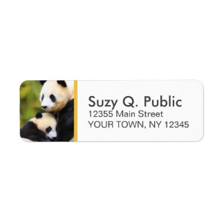 Cute Panda Ours Étiquettes de adresse personnalisé