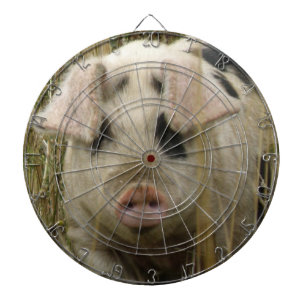 Cute Pig Dart Board Dartscheibe