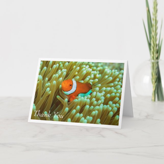 Cute poisson clown sur mer Carte de voeux Anémoniq (Devant)