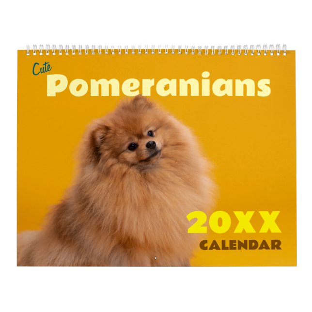 Cute Pomeranians Calendar 2026 Dogs Kalender (Titelbild)