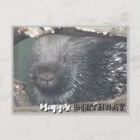 Cute Porcupine Face do-it-yourself Bonne Carte pos