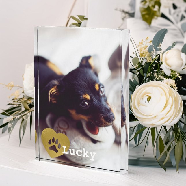 Cute Printed Gold Paw Print Pet Foto (Von Creator hochgeladen)
