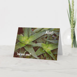 Cute Pun Cactus Aloe Bonjour Penser de votre carte