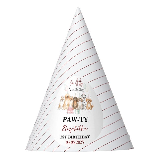 Cute Puppy Dog Boy 1st Birthday | Pawty Time First Partyhütchen (Vorderseite)
