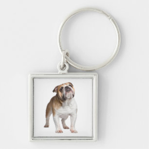 Cute Puppy Dog Lover Gift English Bulldog Schlüsselanhänger