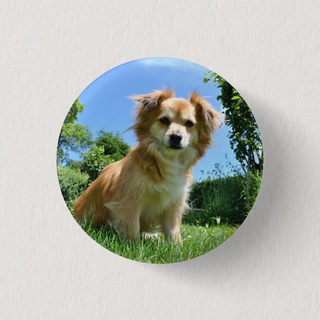 Cute Puppy in Garden Photo Button (Vorderseite)